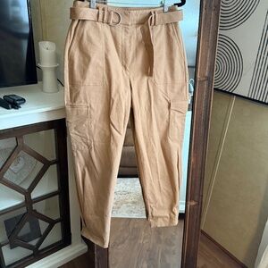 Express Cargo Ankle Pants